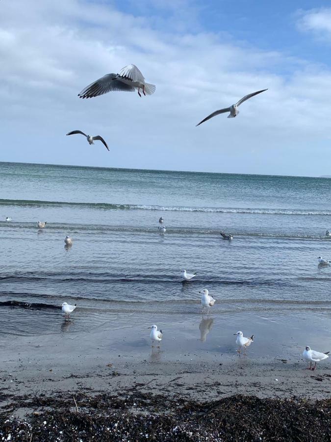 Ferienidyll Nordwind Lägenhet Dranske Exteriör bild